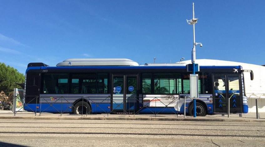 , Montpellier / Toussaint : service de bus renforcé pour Grammont et la gare Sud de France